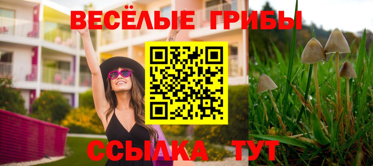 Улан-Удэ  Псилоцибиновые грибы прущие грибы  Псилоцибиновые грибы Magic Shrooms  Вход с VPN 